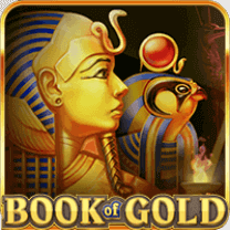 BOOK OF GOLD DOUBLE CHANCE