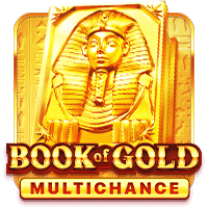 BOOK OF GOLD MULTICHANCE