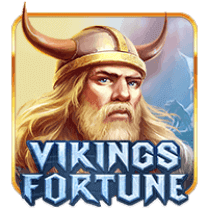 VIKINGS FORTUNE HOLD AND WIN