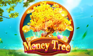 MONEY TREE