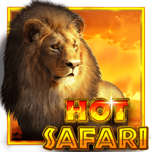 HOT SAFARI